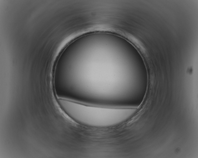 X0000093561334200710150949