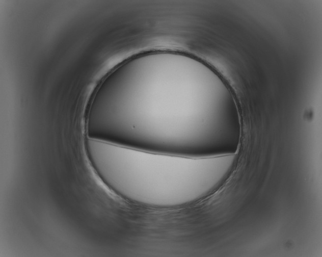 X0000093561335200710150949