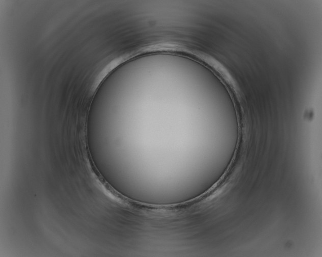 X0000093561337200710150949