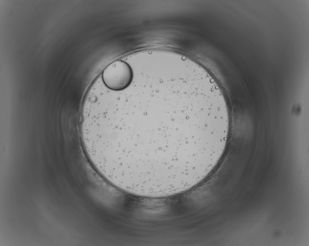 X0000093561338200710150949