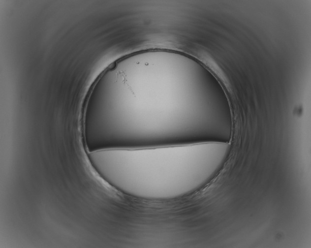 X0000093561339200710150949
