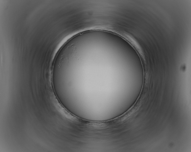 X0000093561340200710150949