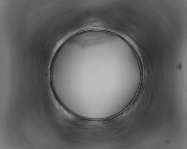 X0000093561341200710150949
