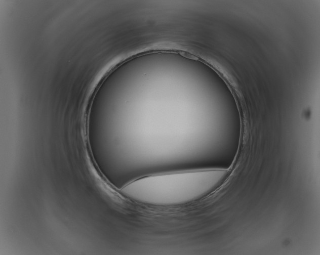X0000093561342200710150949