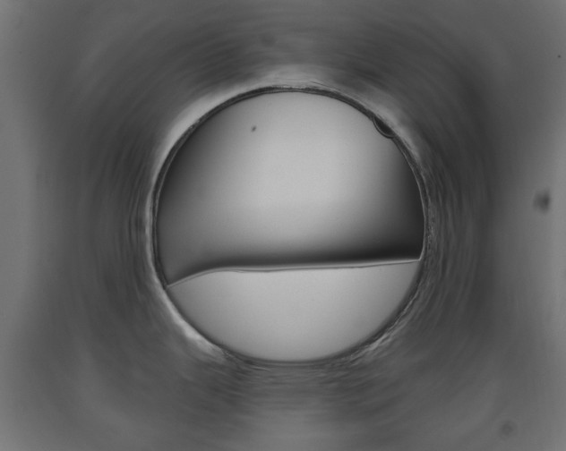 X0000093561343200710150949