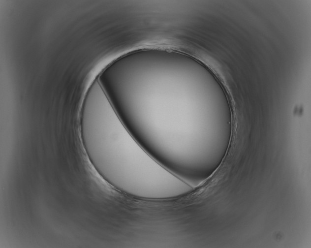 X0000093561344200710150949