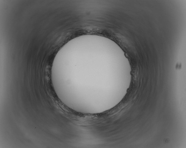 X0000093561346200710150948