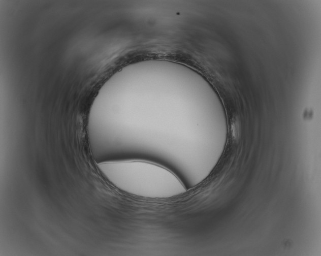 X0000093561347200710150948