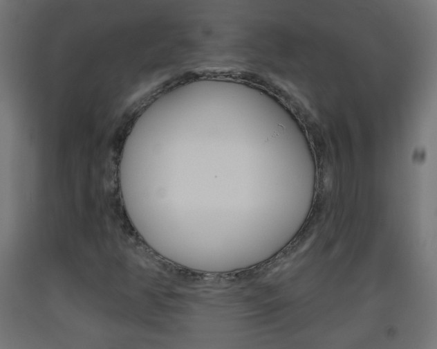 X0000093561350200710150948
