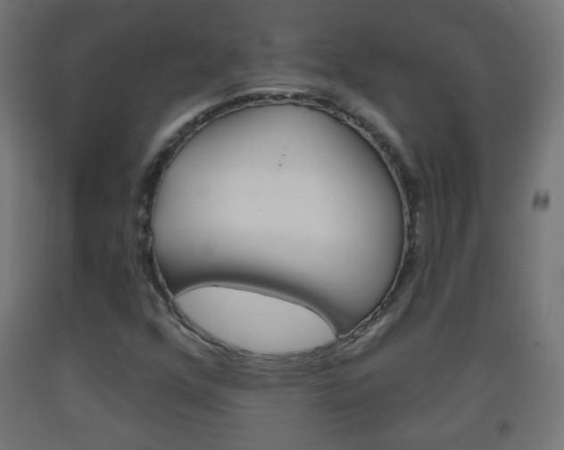 X0000093561352200710150948