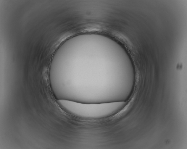 X0000093561353200710150948