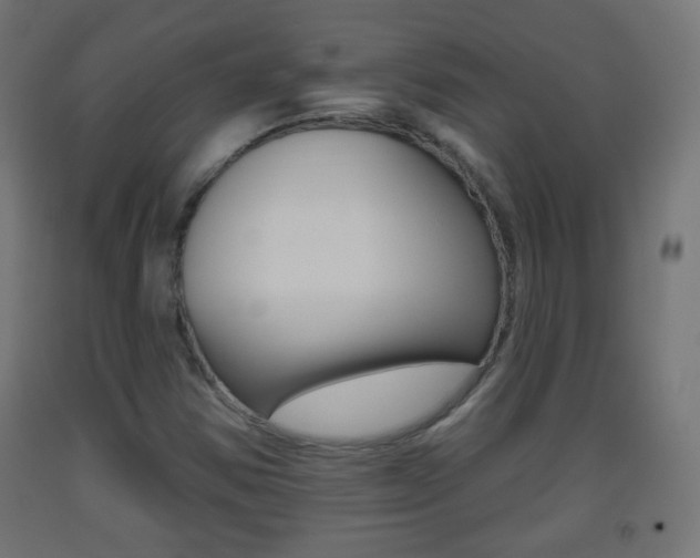 X0000093561354200710150948