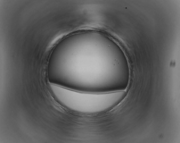 X0000093561355200710150948