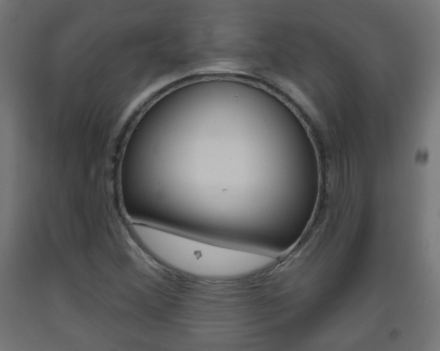 X0000093561356200710150948