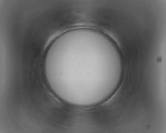 X0000093561357200710150948