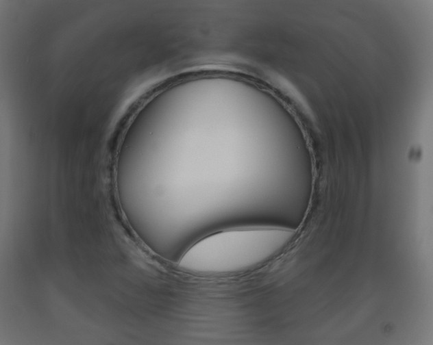X0000093561360200710150948