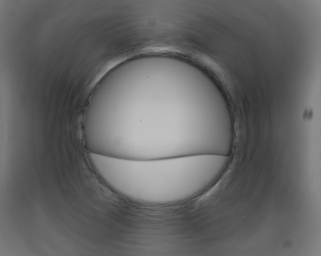 X0000093561361200710150948