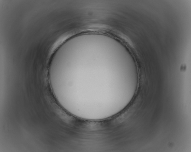 X0000093561362200710150948