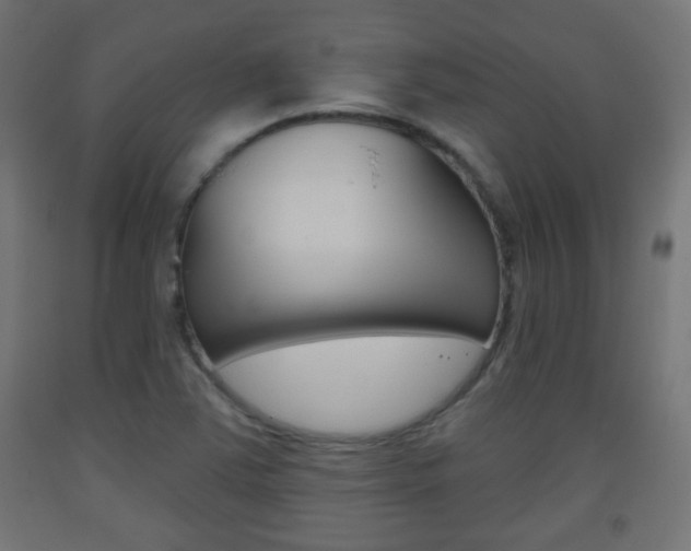X0000093561363200710150948