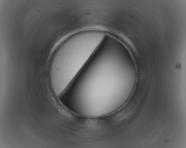 X0000093561364200710150948