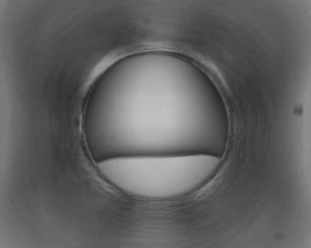 X0000093561365200710150948