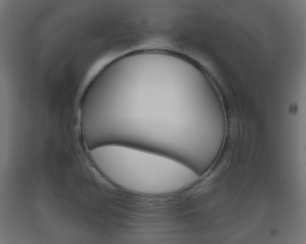 X0000093561366200710150948