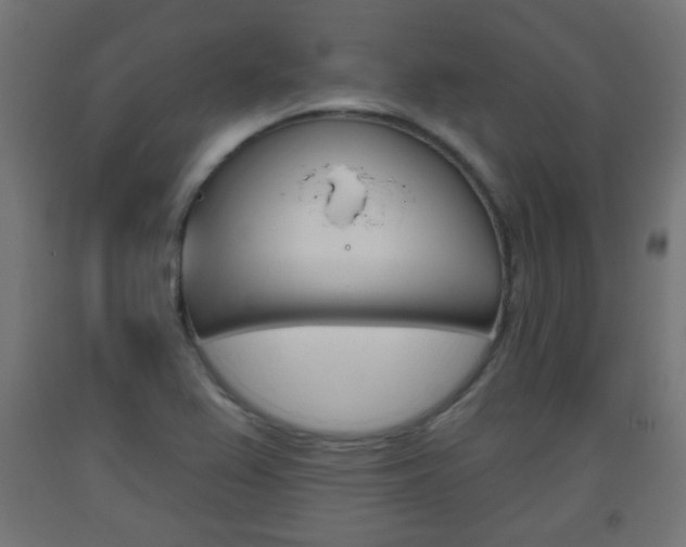 X0000093561367200710150948