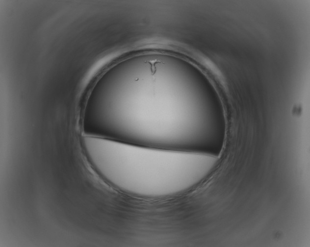 X0000093561368200710150948