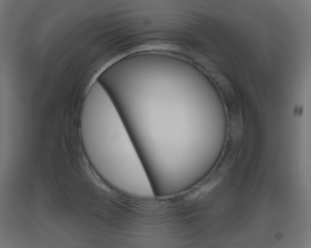 X0000093561369200710150948