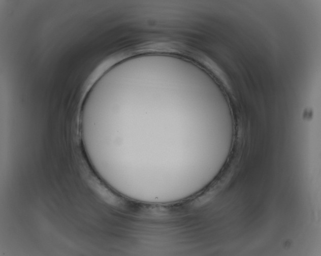 X0000093561370200710150948