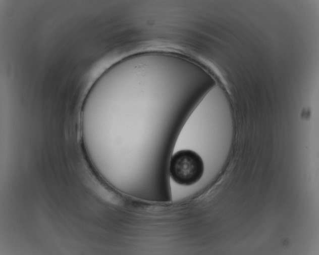 X0000093561371200710150948