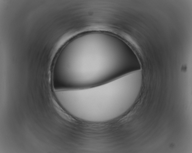 X0000093561372200710150948
