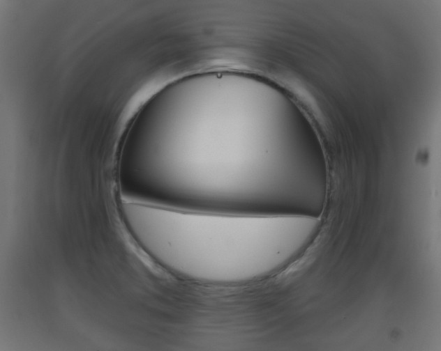 X0000093561373200710150948