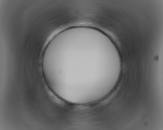 X0000093561374200710150948