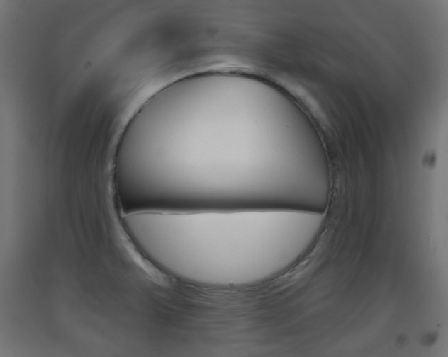 X0000093561375200710150948