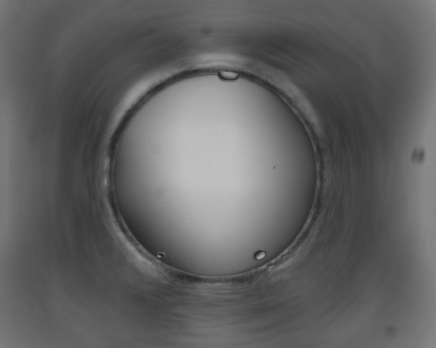 X0000093561376200710150948