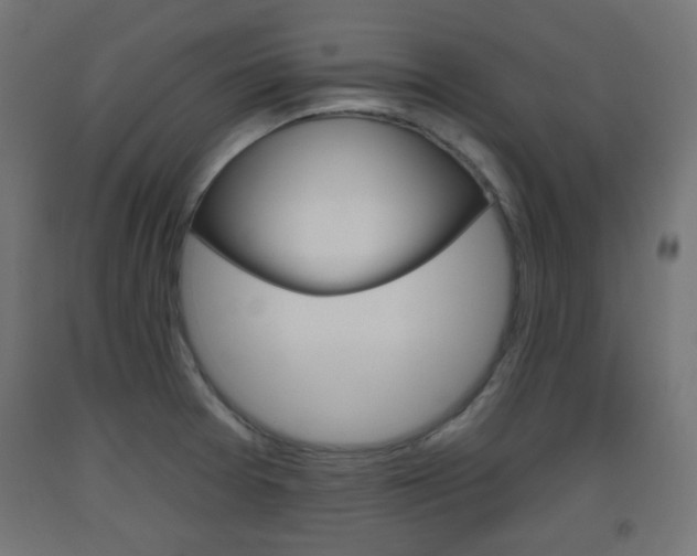 X0000093561377200710150948