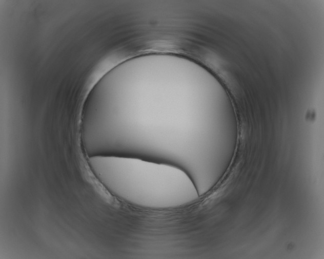X0000093561378200710150948