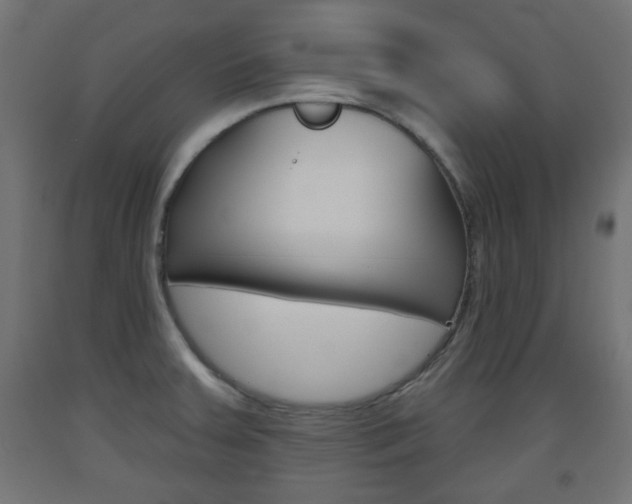 X0000093561379200710150948