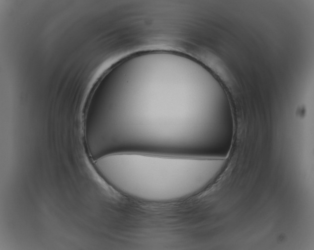 X0000093561380200710150948