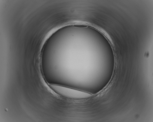 X0000093561381200710150948