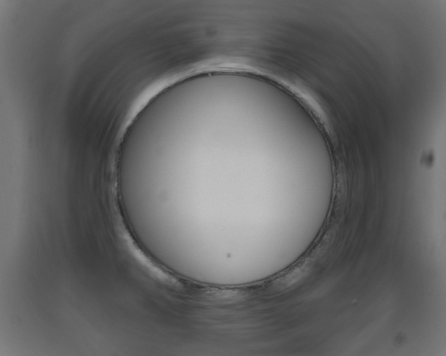 X0000093561382200710150948