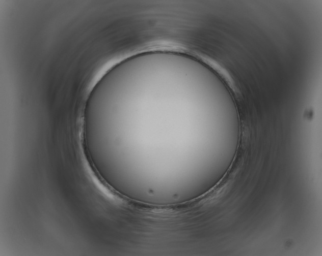 X0000093561383200710150948