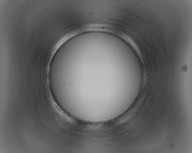 X0000093561386200710150948