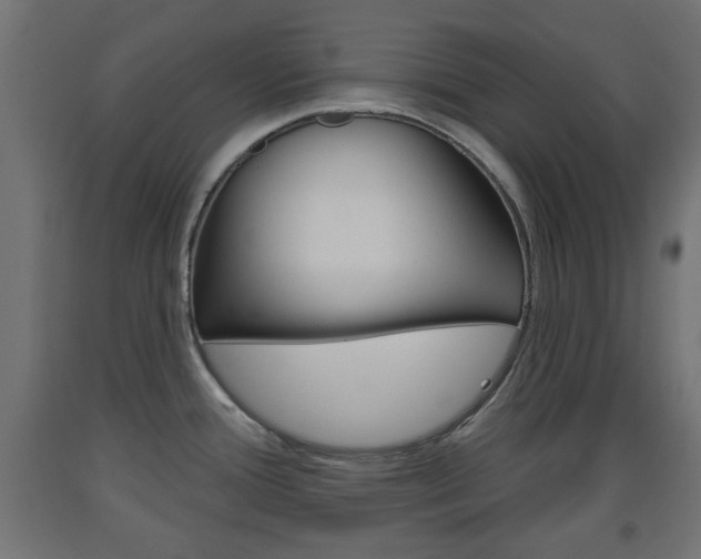 X0000093561388200710150948