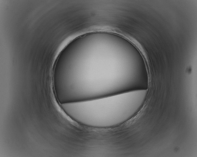 X0000093561389200710150948