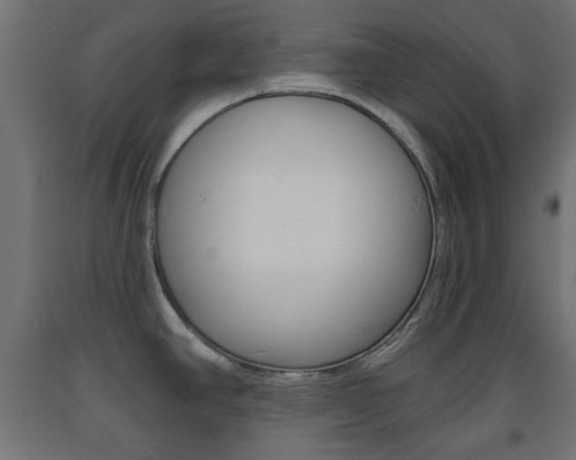 X0000093561390200710150948