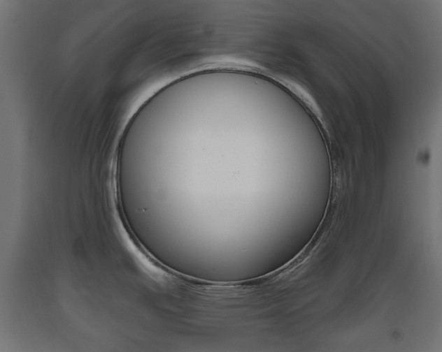 X0000093561391200710150948