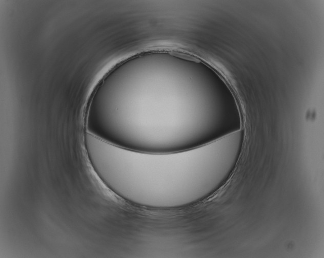 X0000093561392200710150948