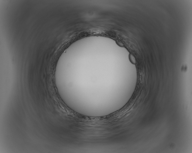 X0000093561393200710150947
